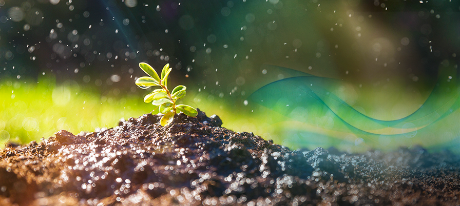 Palestra “Irrigação paisagística como alternativa sustentável para o uso eficiente da água”