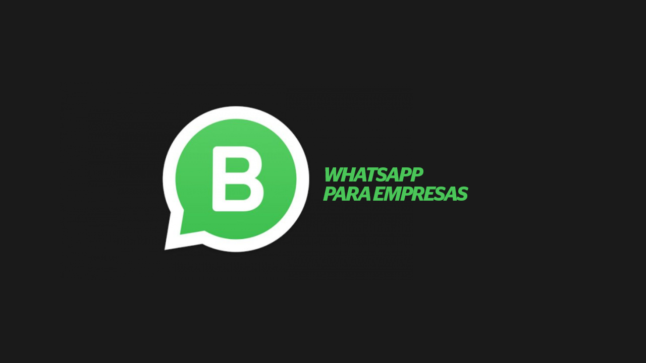 WhatsApp Business: conheça as novidades e saiba como usar o aplicativo